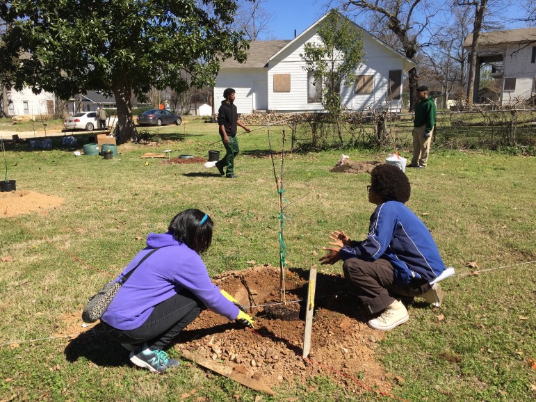 Counterclockwise from bottom left, Micah Stallworth, Emily Johnson, Daniel Jones, and Jerick Hamilton work to turn a vacant lot into an orchard. 