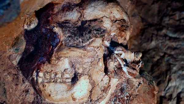 “Astonishing” Find Could Be New Pre-Human Species